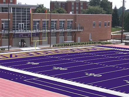 purple-field-jmu.jpg